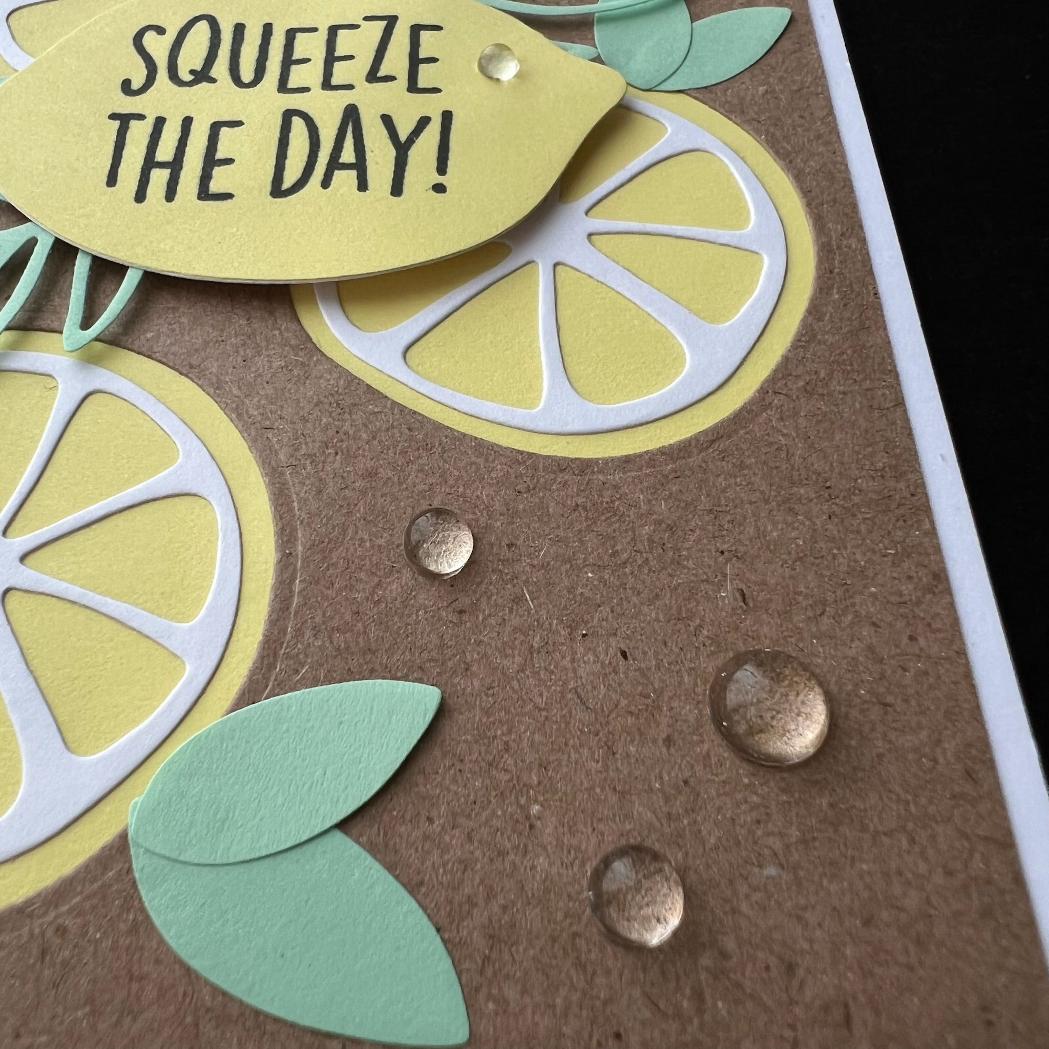 Squeeze the Day Lemons - Handmade Card