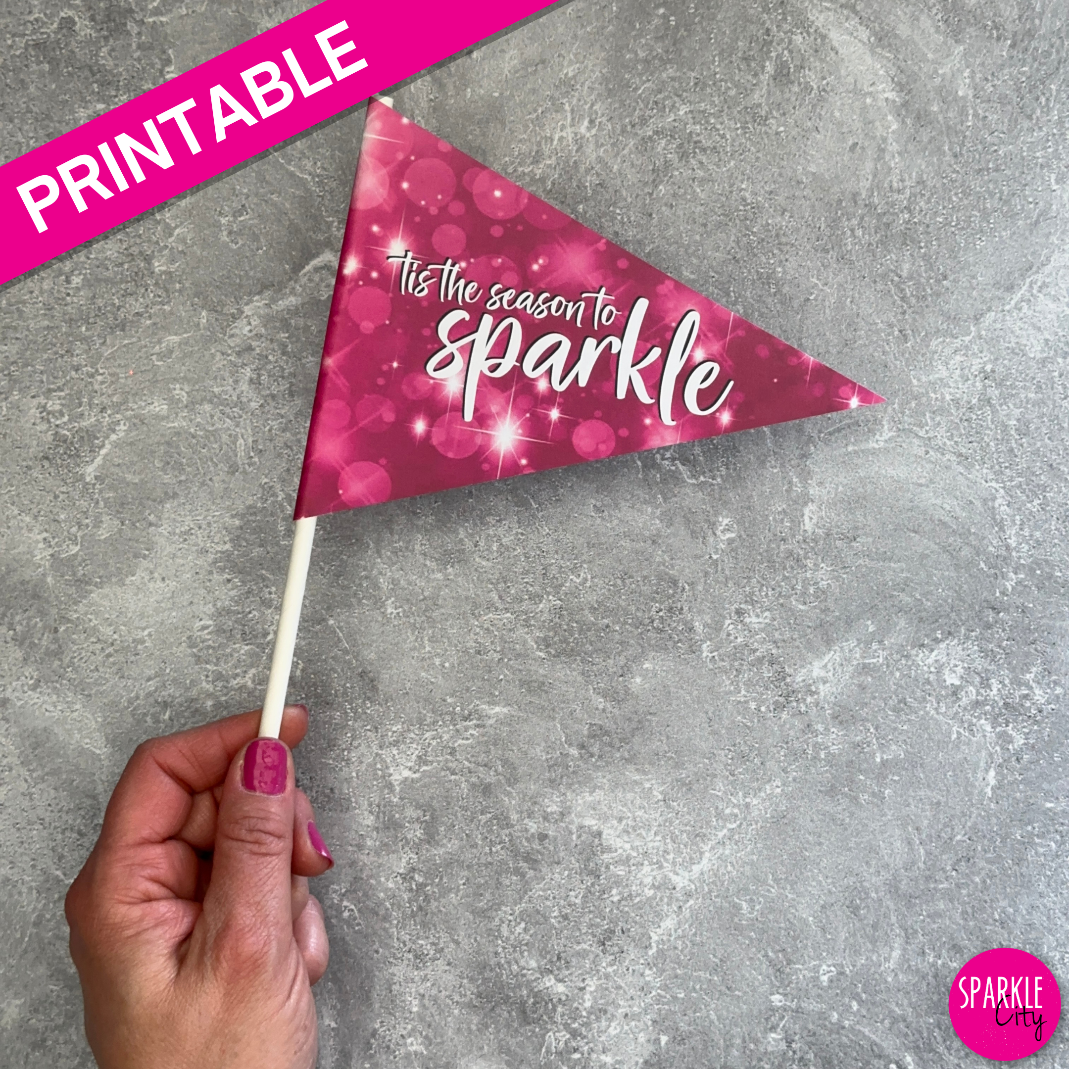 Winter Wishes Printables - Pennants - Tis the Season to Sparkle